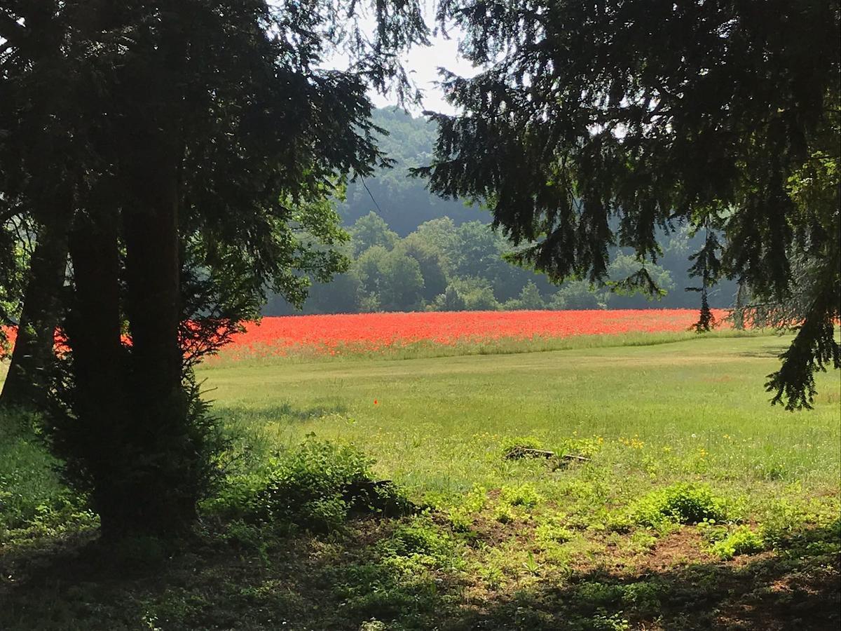 Les Mazeraies maison d'hôtes avec spa Savonnières Exterior foto