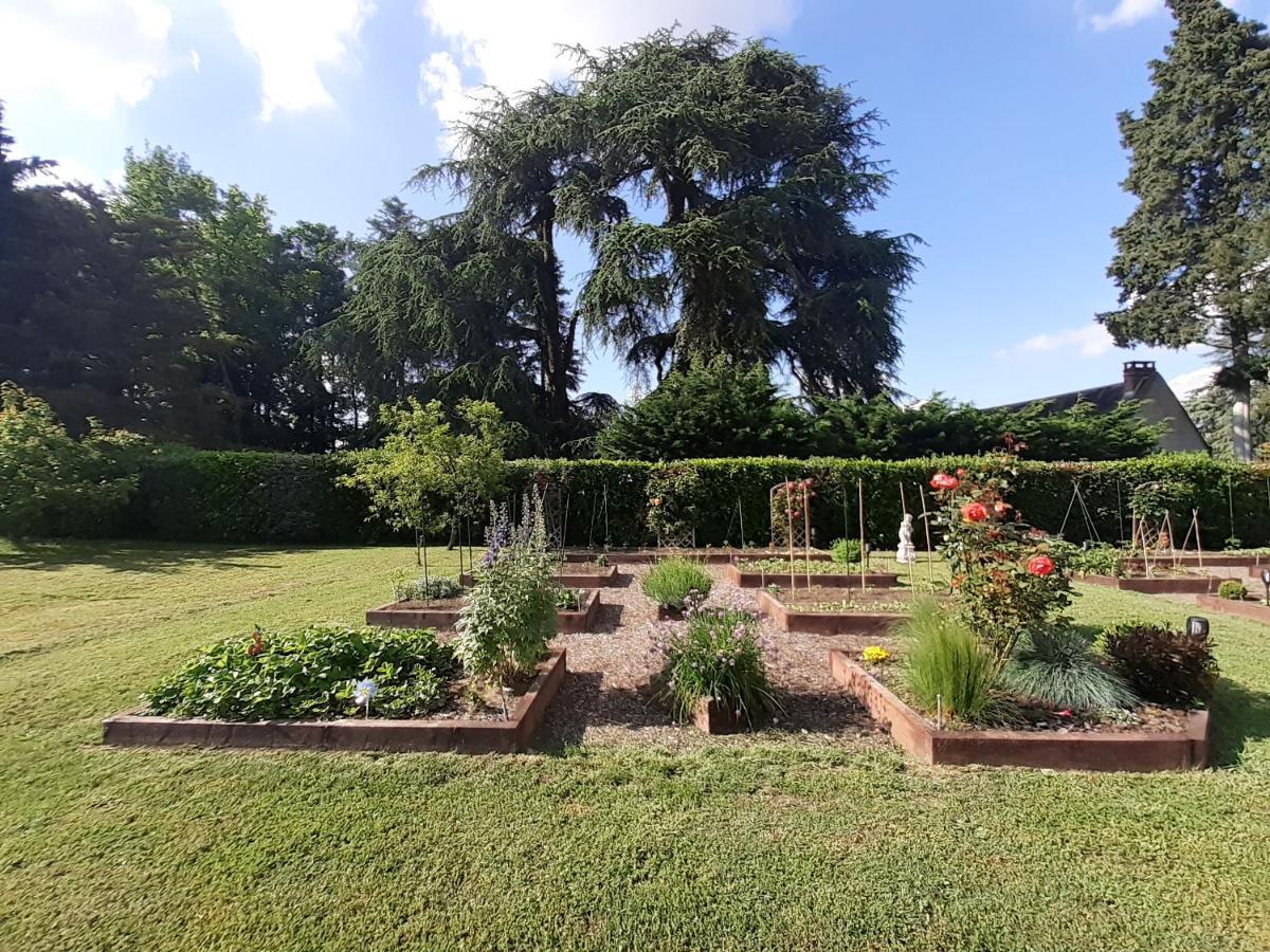 Les Mazeraies maison d'hôtes avec spa Savonnières Exterior foto